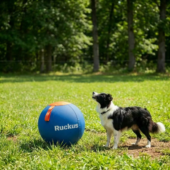 Feature product image