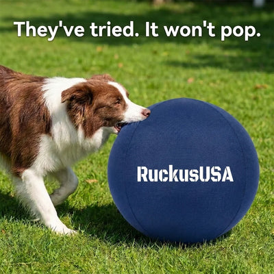 Ruckus™ Herding Ball