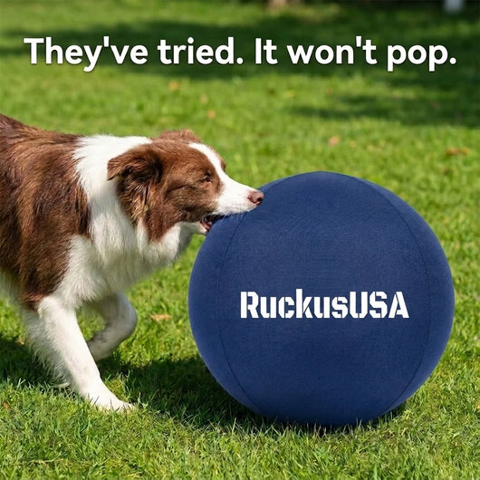 Ruckus™ Herding Ball