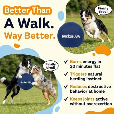 Ruckus™ Herding Ball