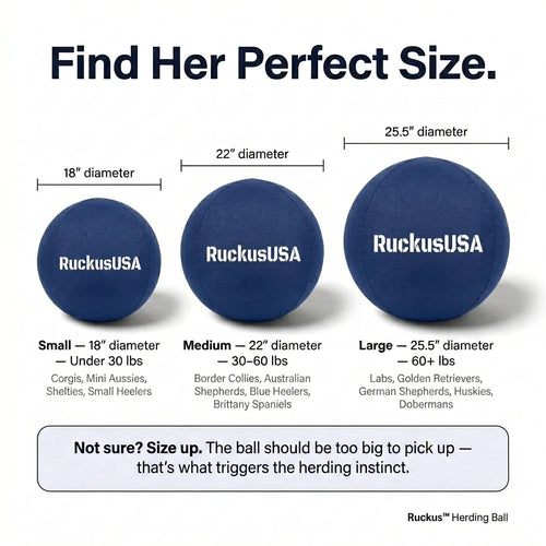 Ruckus™ Herding Ball