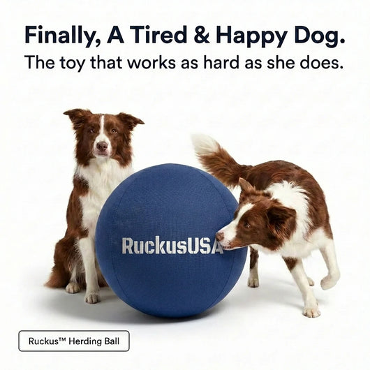 Ruckus™ Herding Ball
