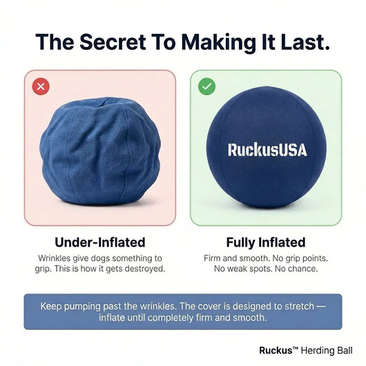 Ruckus™ Herding Ball